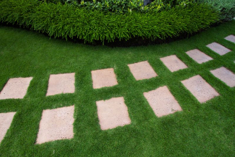 Stylish Paver Path